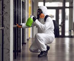 Best Forensic Mold Investigation in Athens, OH